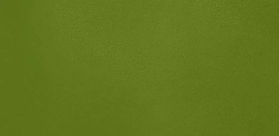 Bambach Saddle Seat Fabric Colour Geco Plush Vinyl