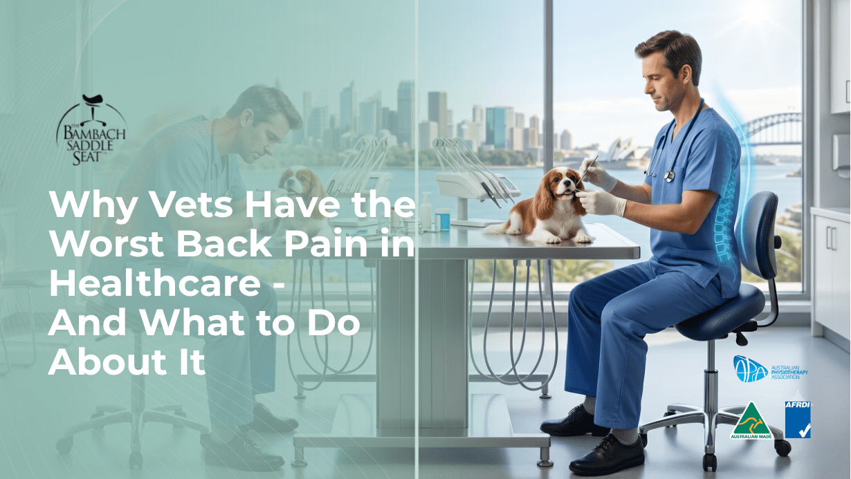 ergonomic chair for vets australia